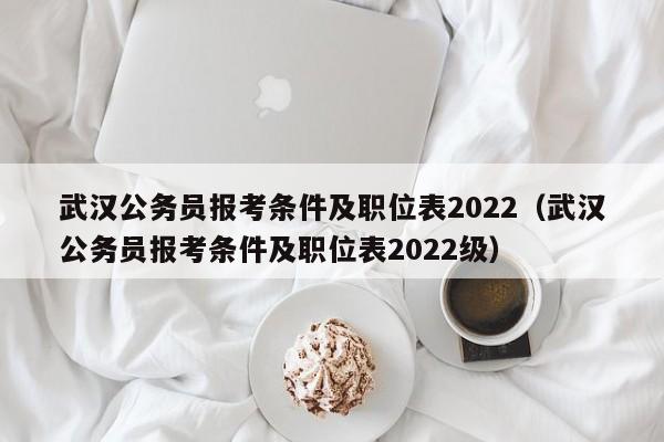 武汉公务员报考条件及职位表2022（武汉公务员报考条件及职位表2022级）